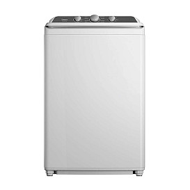                                                             							METALLIC GREY 4.1 WASHER W/AGITATOR
                                                            						 
